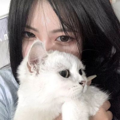 霸三国游戏下载