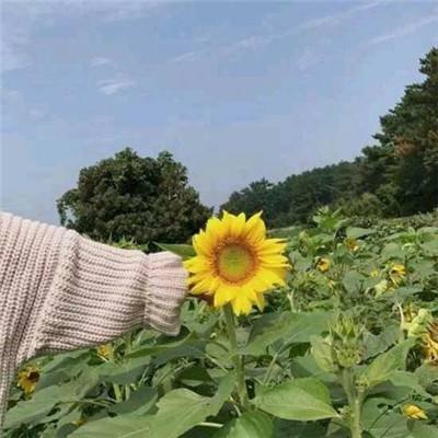 暴走三国2破解版下载